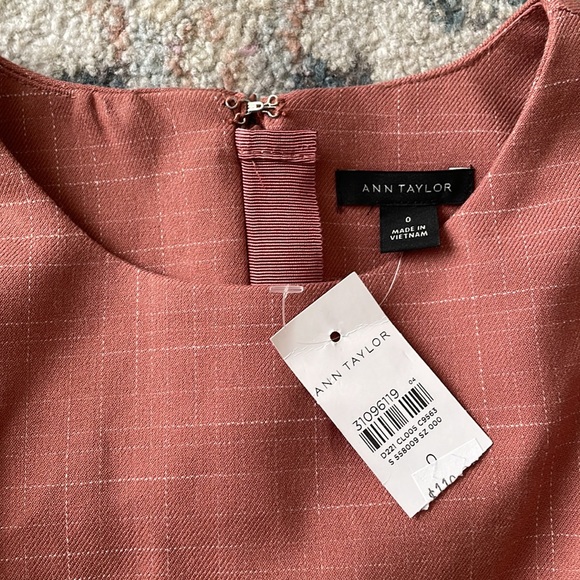 Ann Taylor Rust Career Dress - Picture 7 of 11